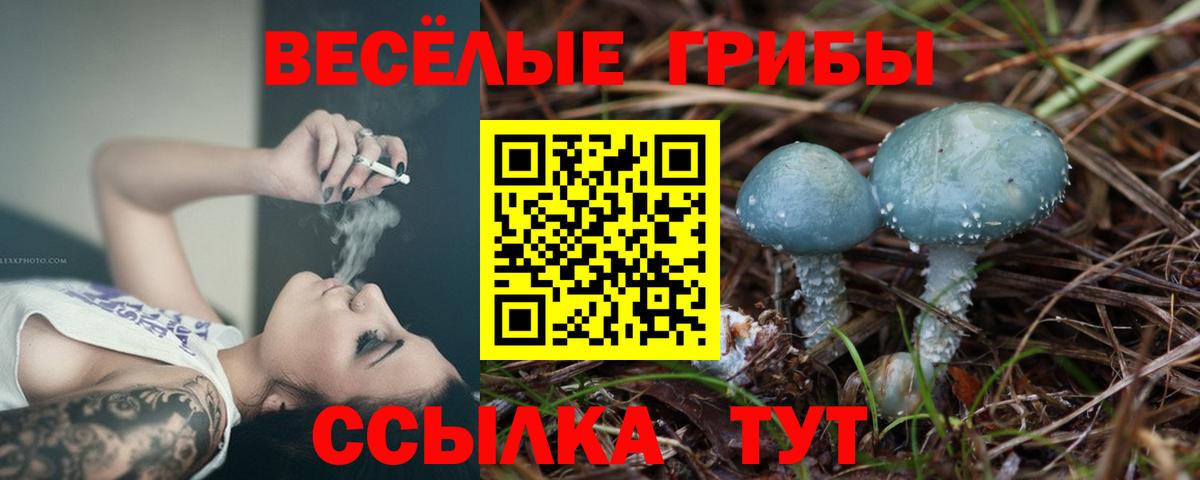 Псилоцибиновые грибы мицелий Долгопрудный